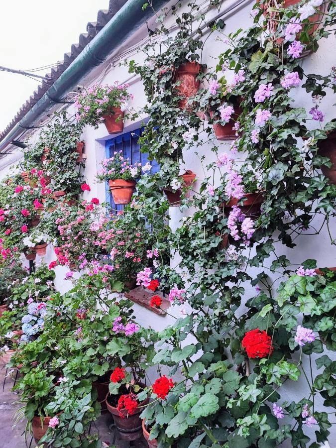 Apartamento Alcazar San Basilio Córdoba Eksteriør billede